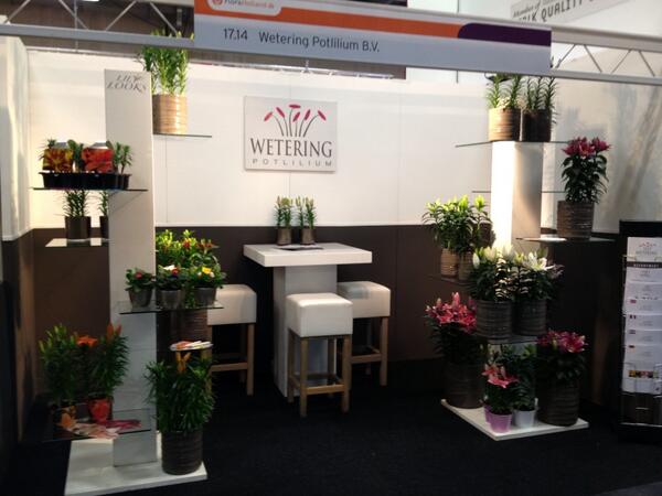 Wetering Potlilium tweet media
