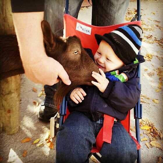 Christianv44's tweet photo. Can't wait for more trips to the #zoo this summer http://t.co/clTwNL8k6U