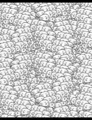 75さん Chu Nau 確かにホモォはかわいいです でも たくさんいると Http T Co Np7d7knyam Twitter