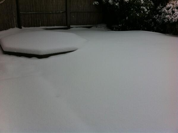 frankdelaat20's tweet image. Wat een #weer in het noorden van #texel