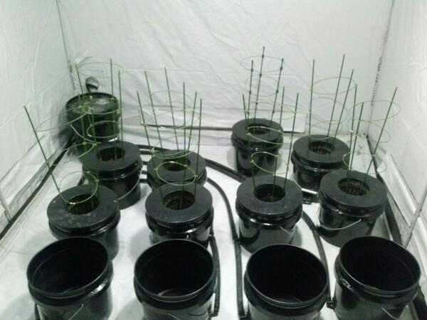 CRYPTOSTONER760's tweet image. @markcvaz @MsBlueDream I'm starting new cycle trying to see of green see how it works out for me #ChangingEverything