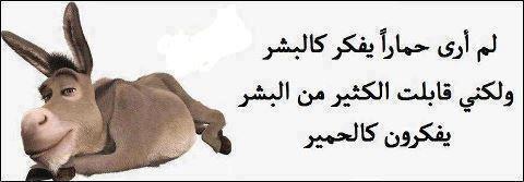 dr_islam1971's tweet photo. http://t.co/PchsdRVeer