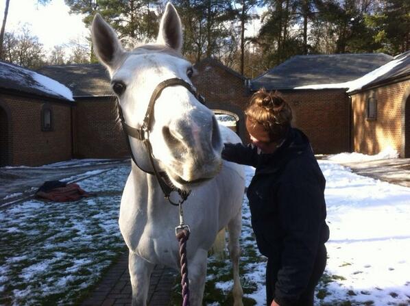FrostLod's tweet image. Billy on Air having a little scratch in the sunshine with @overton_c  #happypony