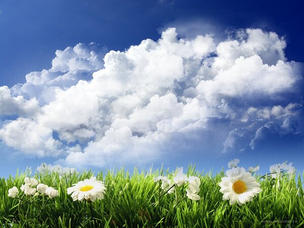 VossElara_'s tweet photo. Manzaraya bak bee ..! http://t.co/T1BcKX9fpJ