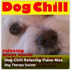 mikiin's tweet image. cálmala bien cabrón Spotify #DogChill
