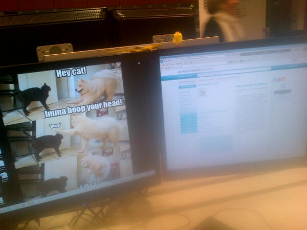 charlottexxw's tweet image. Little friends #WorkComputer :)