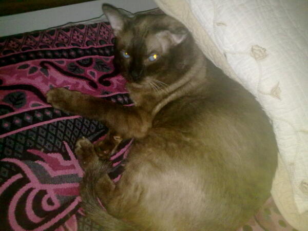 marCano_sp's tweet photo. Tequiero mucho :( http://t.co/szINUmPoYw
