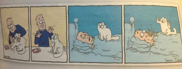 RubyTroger's tweet image. Could be my cat...