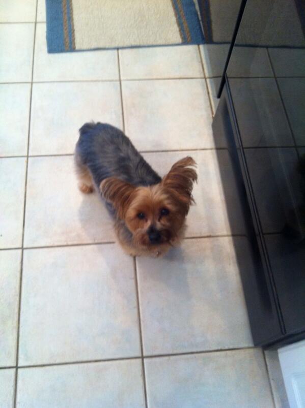 LiSa_MaRiiEe's tweet image. My Chloe &amp;lt;3 #baby #almost4 #shesgettingsobig #love