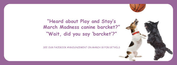 Paco@Play tweet media