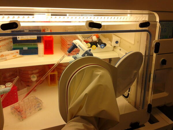 Interesting work studying tumour hypoxia <a href="/tennantlab/">Daniel A Tennant</a> #bhamcancerday