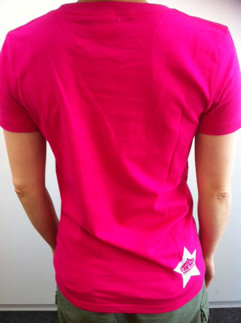 uchida hiroyuki on Twitter: "【DGS祭Tシャツ】ピンクも後ろに1ポイント入れています。DGSにとってメモリアルな