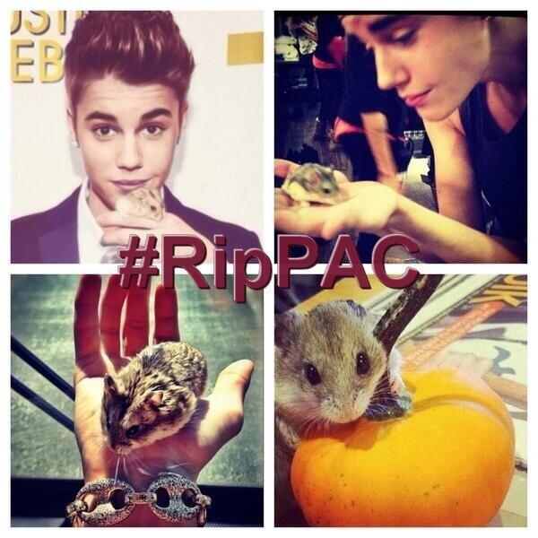 Valentina999999's tweet photo. #RIPpac :'( http://t.co/mPZOWDpBTU