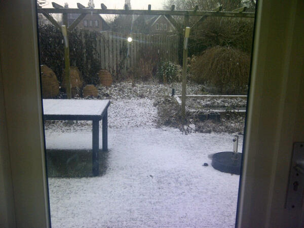 Milou Verhoeks tweet media