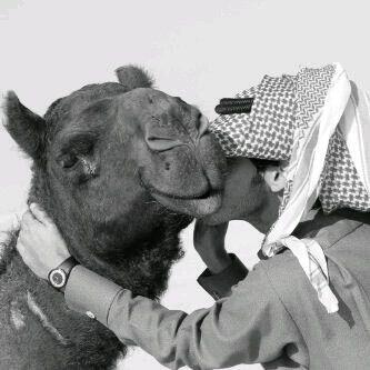 BFPFDPOCQAIvLwm.jpg:large