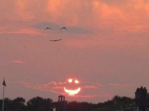 ellnezto's tweet photo. When the sun smiles, the birds smile back! 😊 http://t.co/FFIIHsdwrr