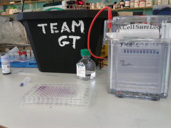 Exciting blot today... Maybe the last bit of the story #bhamcancerday