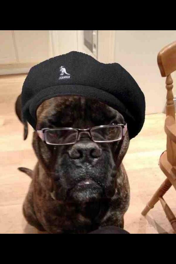 bigols91's tweet photo. Samuel L Jackson ringer @J_McCizzle http://t.co/oIUlTa7lwm
