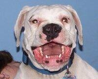 Paco@Play tweet media