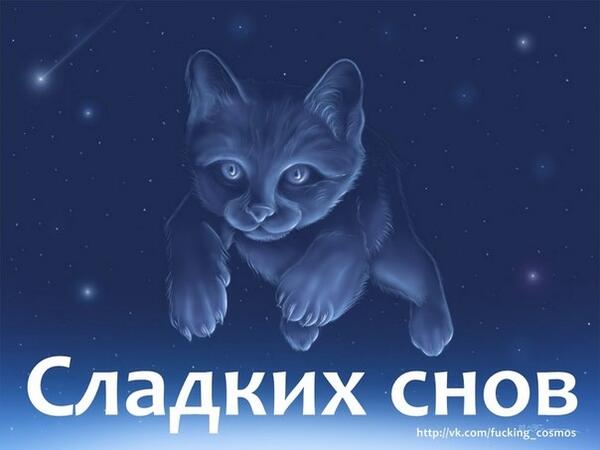 SolarCat333 tweet picture