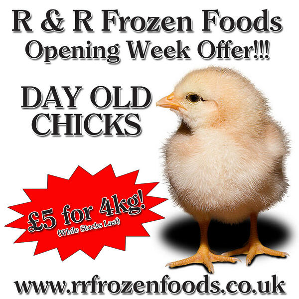 R & R Frozen Foods tweet media