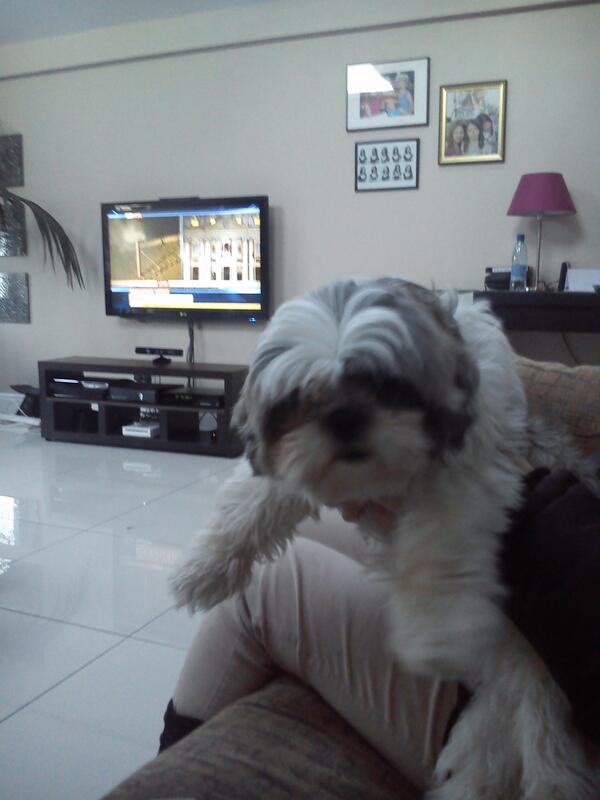 ChineseDoggy's tweet photo. New pope! #pope http://t.co/L3KOYe15ry