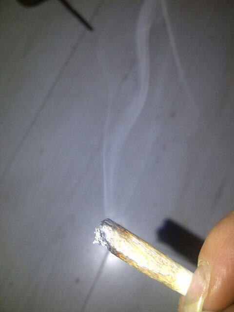 Sandronique's tweet image. Wat een heisa, ik zie elke dag #witterook #wietpas