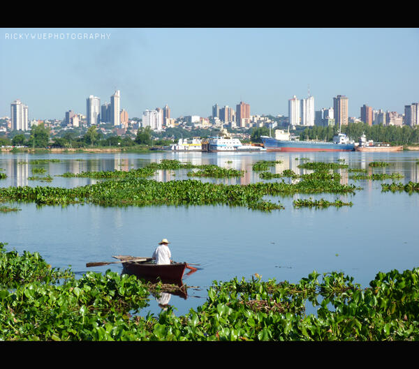 Ricardo Achucarro tweet media