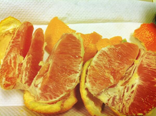 LisaAnchin's tweet image. Pink orange whaaaaa...? #natureiscrazy