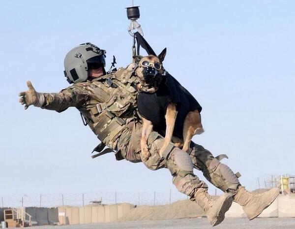 ArmedForceWatch's tweet photo. http://t.co/TtPacogPoj