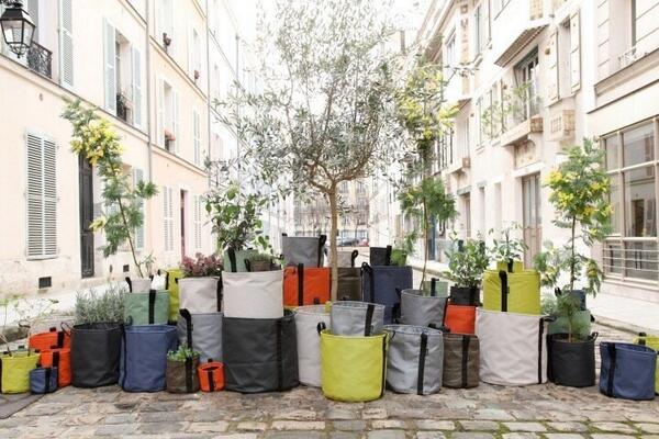 HORECA_terras's tweet photo. #strandpaviljoen eigenaren opgelet! BACSAC plantenzakken nu in kleur. Lichtgewicht, draagbaar, opvouwbaar http://t.co/z0xnkCFJqd