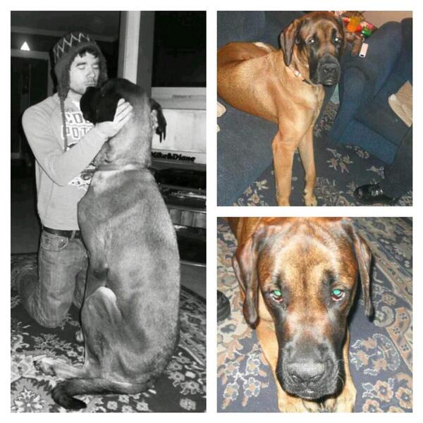 Paco@Play tweet media