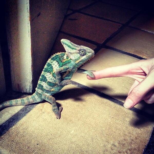 CordeliaOV's tweet photo. Handshake.. Paco &amp; me #love http://t.co/dodxXuj0a0