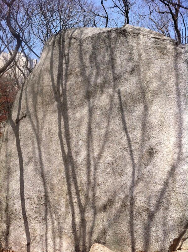macstone36's tweet photo. 나무 http://t.co/996tZxQVwm