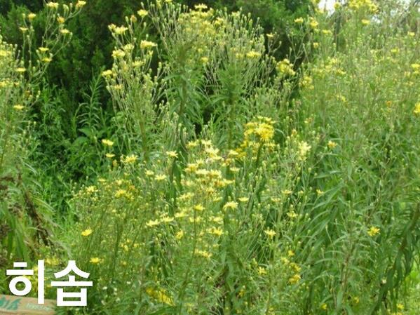 ecocrusader0's tweet photo. ♥오늘도 행복하셔요 o(^-^)o 
♥전국 최저가격 꽃배달♥ 
후원사 콜센터 070-7611-8734 로 주문 하시면 정상가에서 25% 할인되고 수익금을 결식아동돕기 기금으로 적립합니다
검색창☞코리아꽃도매 http://t.co/lpzlgdHtXg