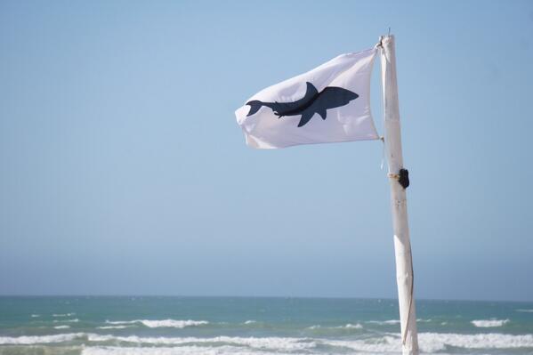 White flag flying