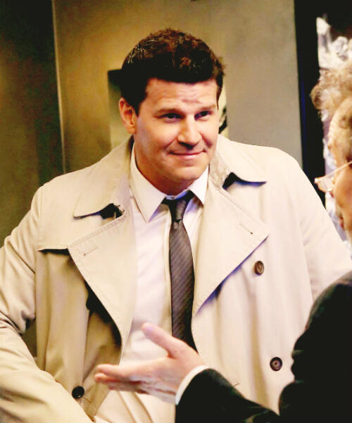 davidboreanazagenteseeleybooth
