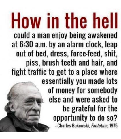 The Revolution tweet media