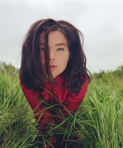 bjork's tweet image. i dare you
to take me on