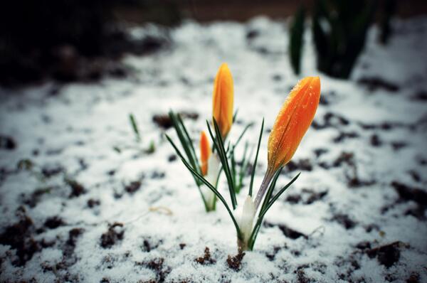 CloudPingueeen's tweet image. What a game! #WinterVsSpring