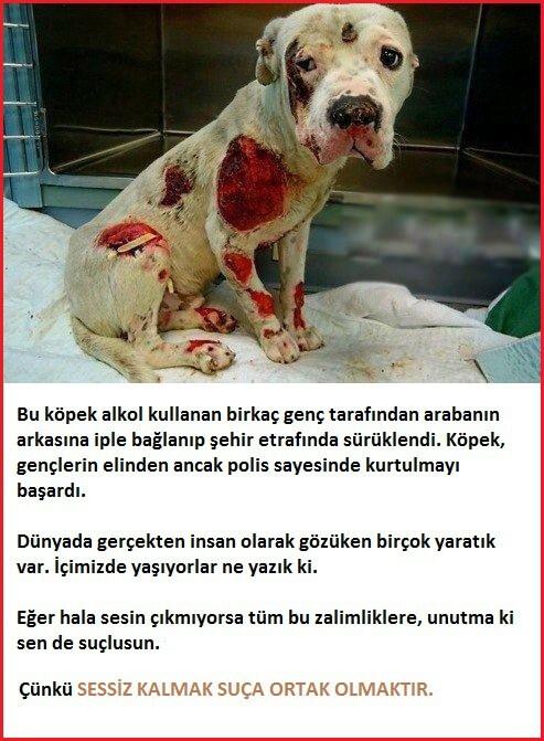 cunku seni cezalandiracak bi kanun yok! cunku yasalar yaptigini legallestiriyor! ve herkes susup seyirci kaliyor!