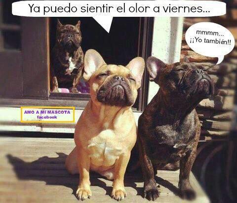 "<a href="/MejoresTwits/">Lo Mejor de Twitland</a>: Hmmmmm ya queda poco... " @MaryMarzal