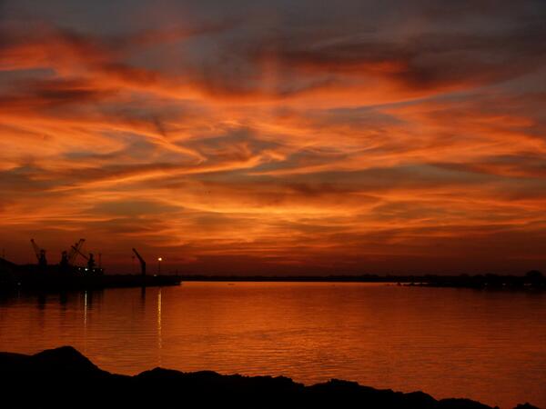 Ricardo Achucarro tweet media