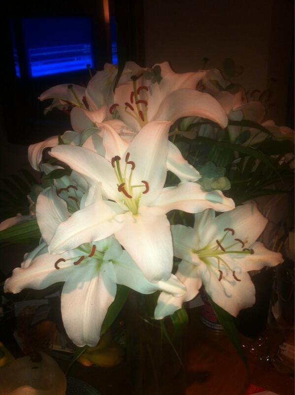 PhoenixHairBeut's tweet photo. Still looking good after two weeks thanks @hjflowers http://t.co/jdyp5bpKUC