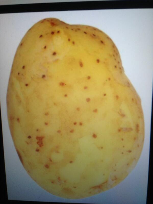 FamiCardenas's tweet image. Chiste para canarios e inteligentes: esta es una foto de mi churri @JaavierMartin #apoh