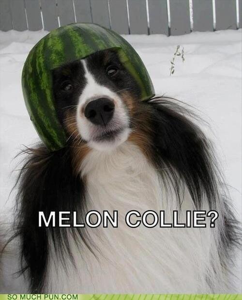 Melon Jokes (@melonJokes) / Posts / X