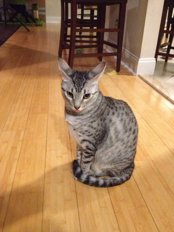 Jen Smith tweet media