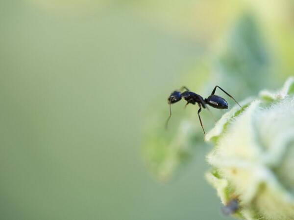standby_energie's tweet image. Klein aber gefährlich.Standby verschenkt 28 cent täglich pro Haushalt Aber 100 Euro pro Jahr! standby-energie-smart.de