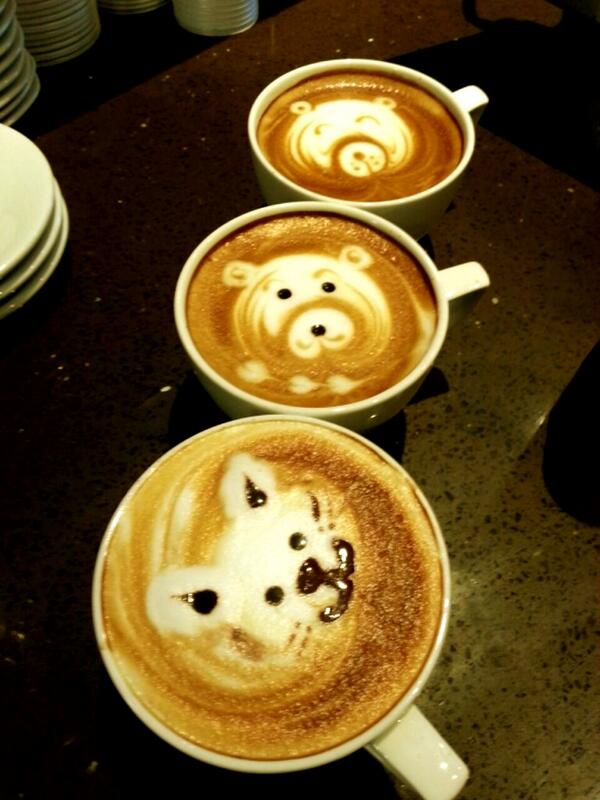 Meina Chen (@meinachen) on Twitter photo 