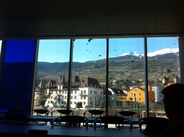 YYQ2012's tweet image. many birds